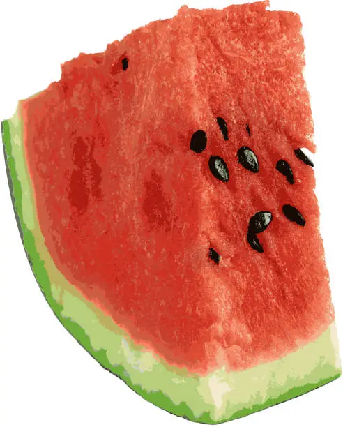 Vector illustration of Sliced ripe watermelon