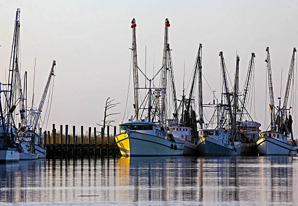 istock Many shrimp boats in water lined up against a dock. 476374935