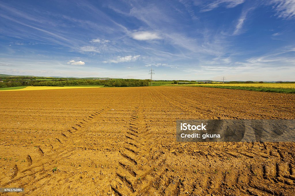 Os campos - Royalty-free Agricultura Foto de stock