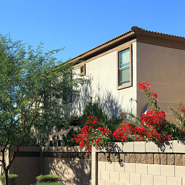 istock Decorating with Bougainvillea in Arizona 476375383