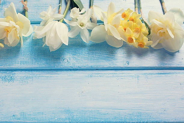 istock Background with fresh spring white and yellow flowers 476375526