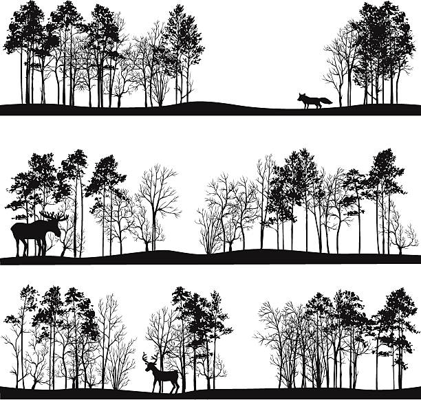ilustrações de stock, clip art, desenhos animados e ícones de conjunto de diferentes paisagens com árvores e animais - grove