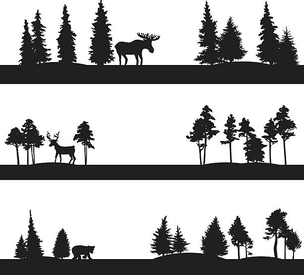 ilustrações de stock, clip art, desenhos animados e ícones de conjunto de diferentes paisagens com árvores e animais - grove