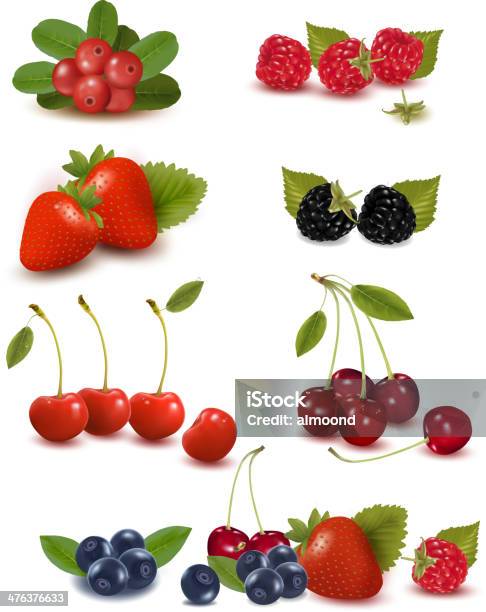 Berry Design Stock Illustration - Download Image Now - Blueberry, Cherry, Illustration