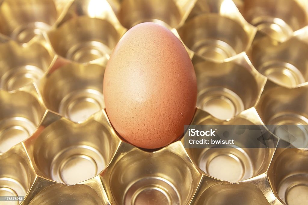 Single Chicken egg Single Chicken egg in golden tray Agriculture Stock Photo