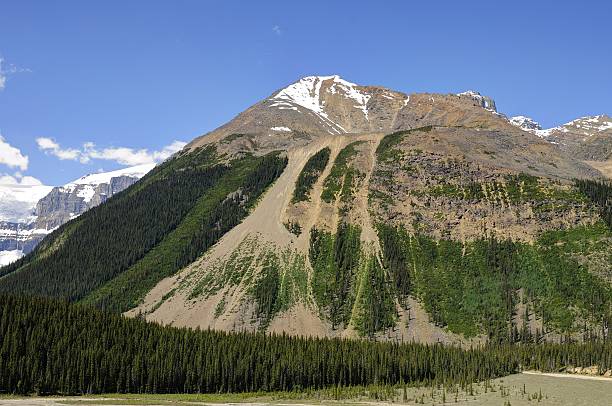 istock mountain with green trees by a glacier 476378782