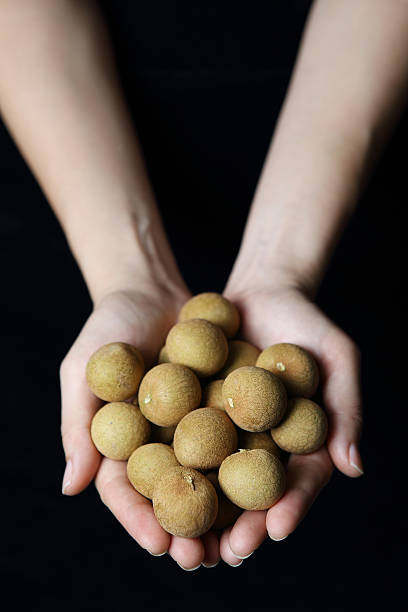 istock Golden longan in hand 476379352