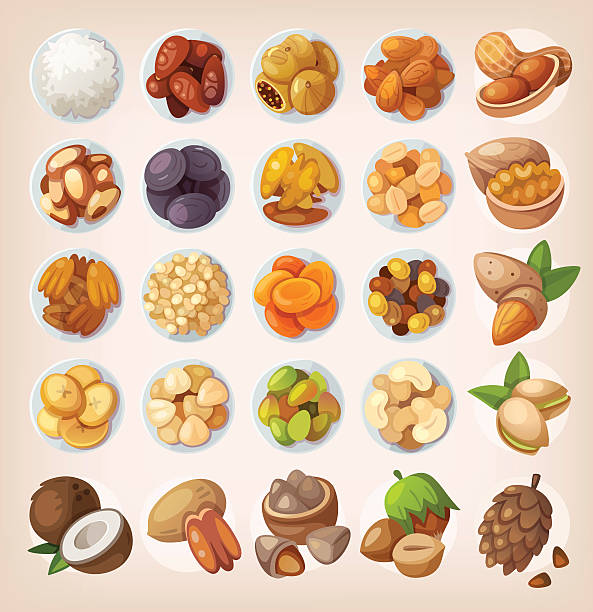 ilustraciones, imágenes clip art, dibujos animados e iconos de stock de conjunto de coloridas frutas y nueces. - pine nut illustrations