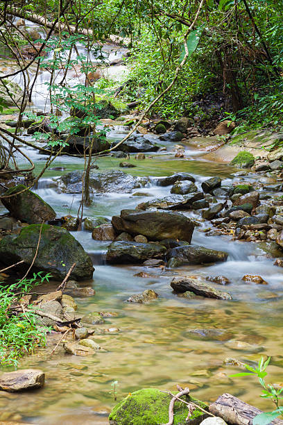 Beauty in Nature stock photo