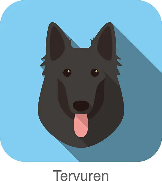 Vector illustration of Tervuren, dog face portrait flat icon design