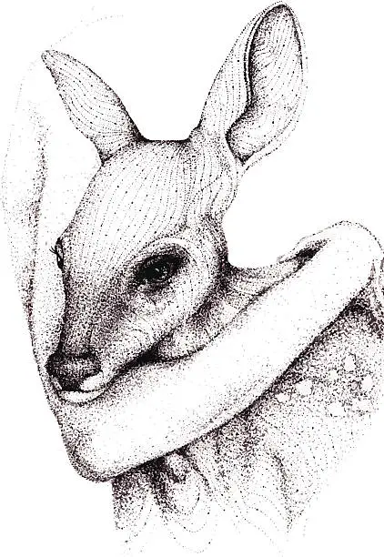 Vector illustration of Deer Hand Drawn Ink Vector Illustration