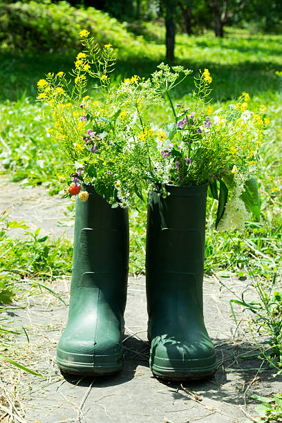 istock Boot Flowerpot in garden 476381383