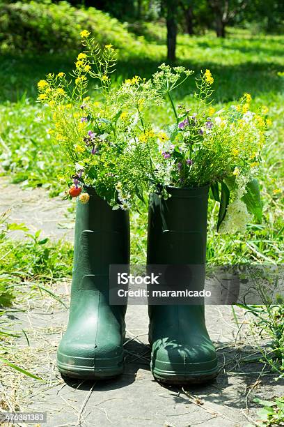 Bota Flowerpot De Jardim - Fotografias de stock e mais imagens de Amarelo - Amarelo, Ao Ar Livre, Arbusto