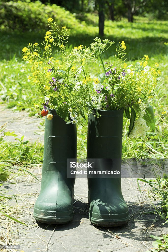 Ботинки Flowerpot в сад - Стоковые фото Белый роялти-фри