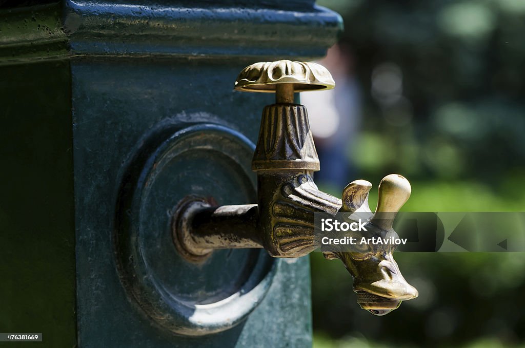 De roscar de cobre en forma de dragón - Foto de stock de Agua libre de derechos