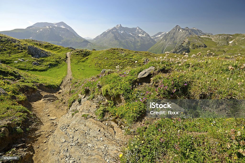 Footpath to the summit Mountain footpath crossing blooming meadows at high altitude in summer. Adventure Stock Photo