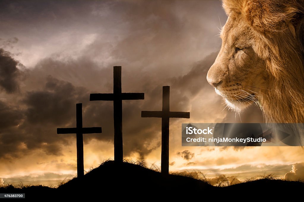 God's Victory at Calvary A brilliant sky illuminates the empty crosses on the day of Jesus' crucifixion. God, The Lion of Judah, overlooks the hill where His son Jesus died for sinners. Lion - Feline Stock Photo