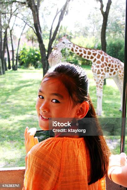 Chinês Criança Ver Girafa No Safari - Fotografias de stock e mais imagens de Jardim Zoológico - Jardim Zoológico, Criança, Safari