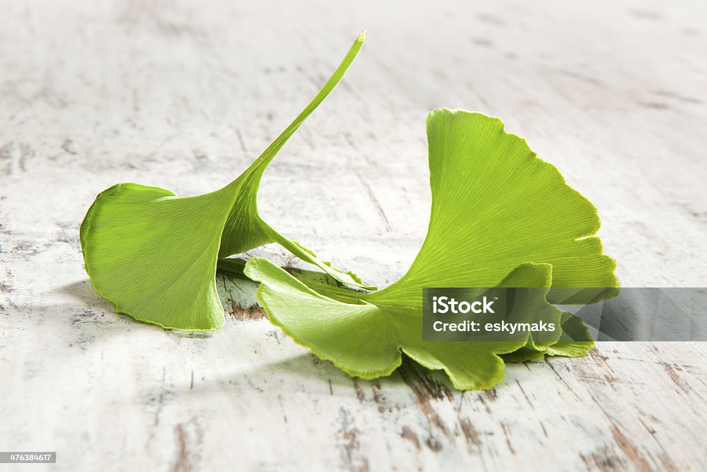 Traditional ginkgo background. Fresh ginkgo biloba leaves isolated on white wooden textured background. Traditional natural alternative medicine. Alternative Medicine Stock Photo