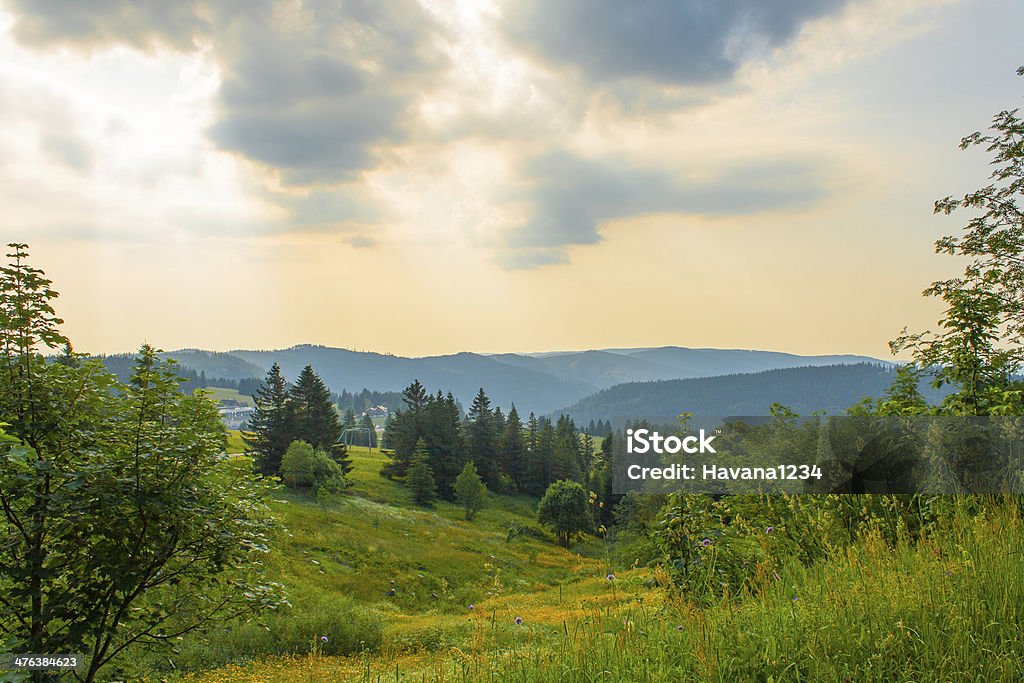 Paisagem da floresta negra, Alemanha Feldberg - Royalty-free Aldeia Foto de stock