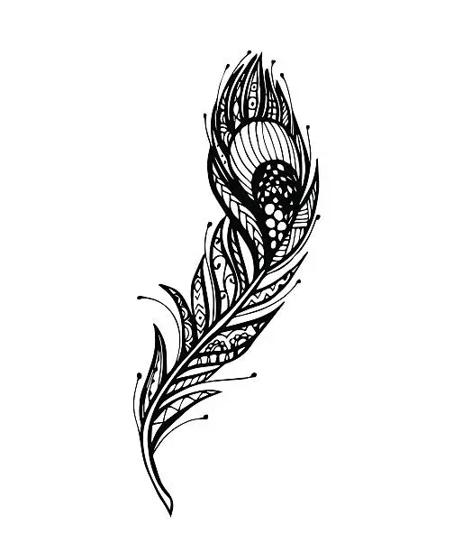 Vector illustration of Vector of Peacock Feather