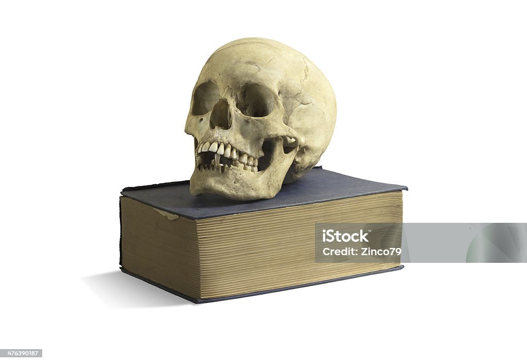 Crânio sobre reserva - Foto de stock de Adulto royalty-free