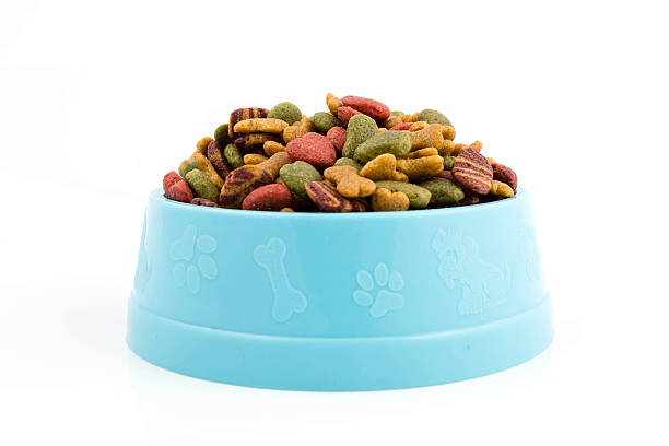 Dog food in bowl dog food dog bowl photos stock pictures, royalty-free photos & images