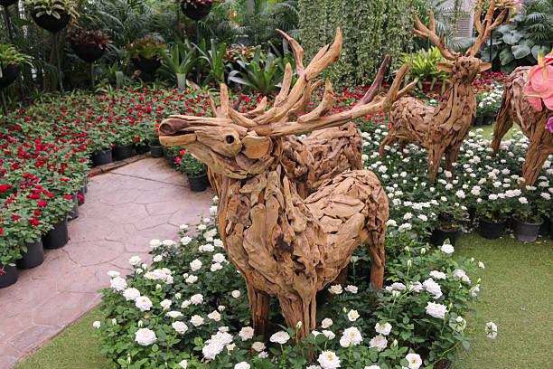 istock Deer wood In the garden 476391646