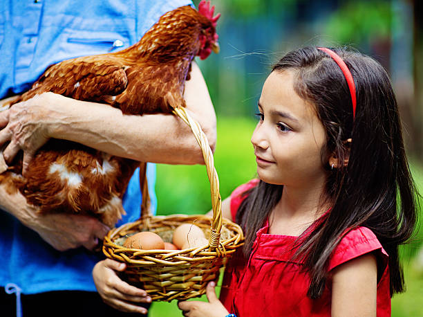 istock Farm girl 476392512
