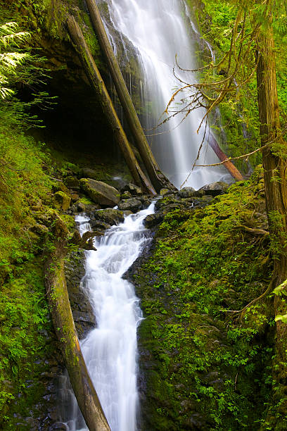 istock Murhut falls in the Olympic National Park 476398337