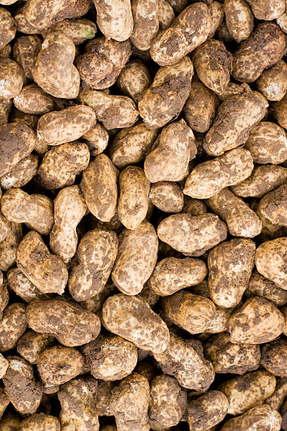 Fresh peanut background Fresh peanut background peanut crop stock pictures, royalty-free photos & images