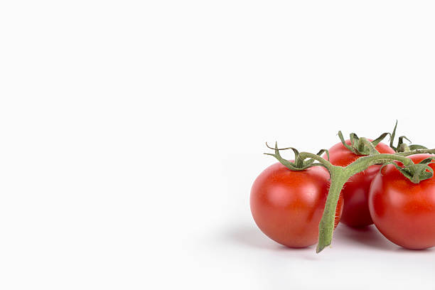 three tomatoes on white background stock photo
