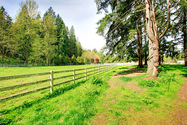 istock Countryside horse farm 476400907