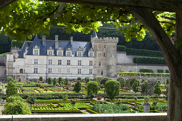 Villandry, France- June 24, 2013: Villandry chateau and its garden, Loire Valley, France - one of the most beautiful gardens in all France