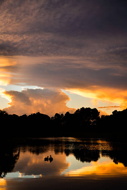 istock Color Image of Moody, Tropical Sunset Sky 476407685
