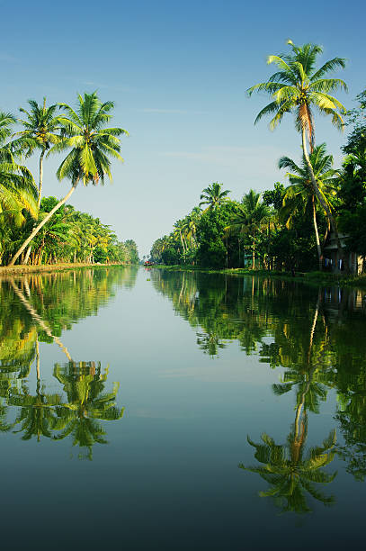 backwaters von kerala, indien - allepey stock-fotos und bilder