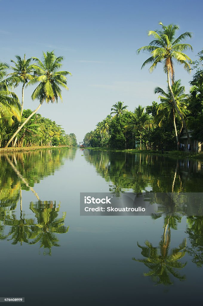 backwaters of Kerala, India a canal in the backwaters of Kerala, India Backwater Stock Photo