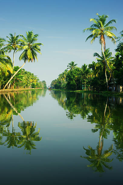 backwaters of Kerala, India stock photo