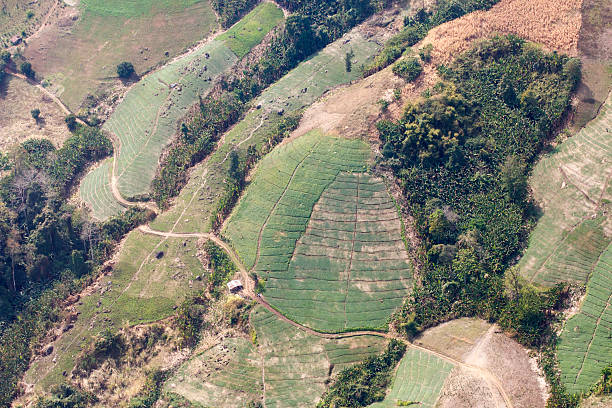 istock forest destruction in thailand form Aerial view 476409341