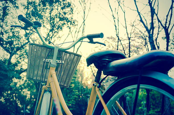 istock Classic Bicycle at sunset in the park or deep forest 476409712