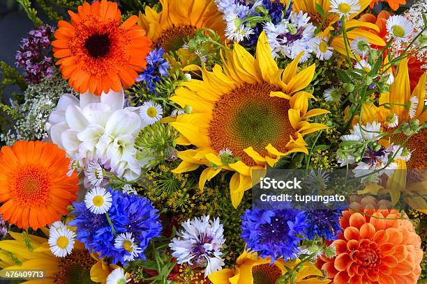 꽃 구도에 대한 스톡 사진 및 기타 이미지 - 구도, 꽃-식물, 꽃집 주인