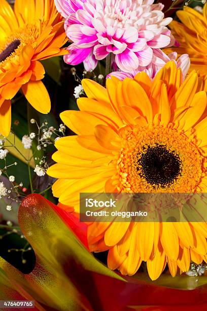 Bunte Blumen Blumenstrauß Stockfoto und mehr Bilder von Baumblüte - Baumblüte, Blatt - Pflanzenbestandteile, Blume