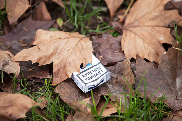 istock Empty pack of cigarettes within winter leaves in the park 476411972