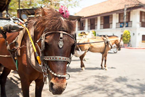 istock horse drawn carriage in the old spanish 476418001