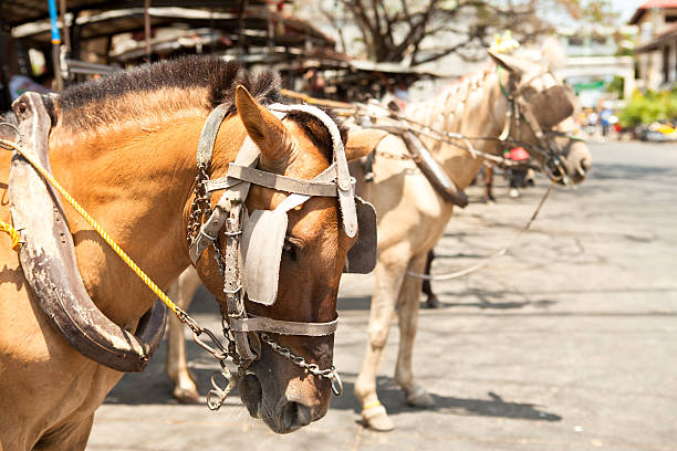 istock horse drawn carriage in the old spanish 476418023