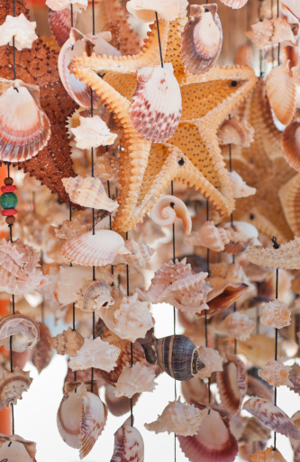 Assorted shells tied together on strings as a wind chime decoration