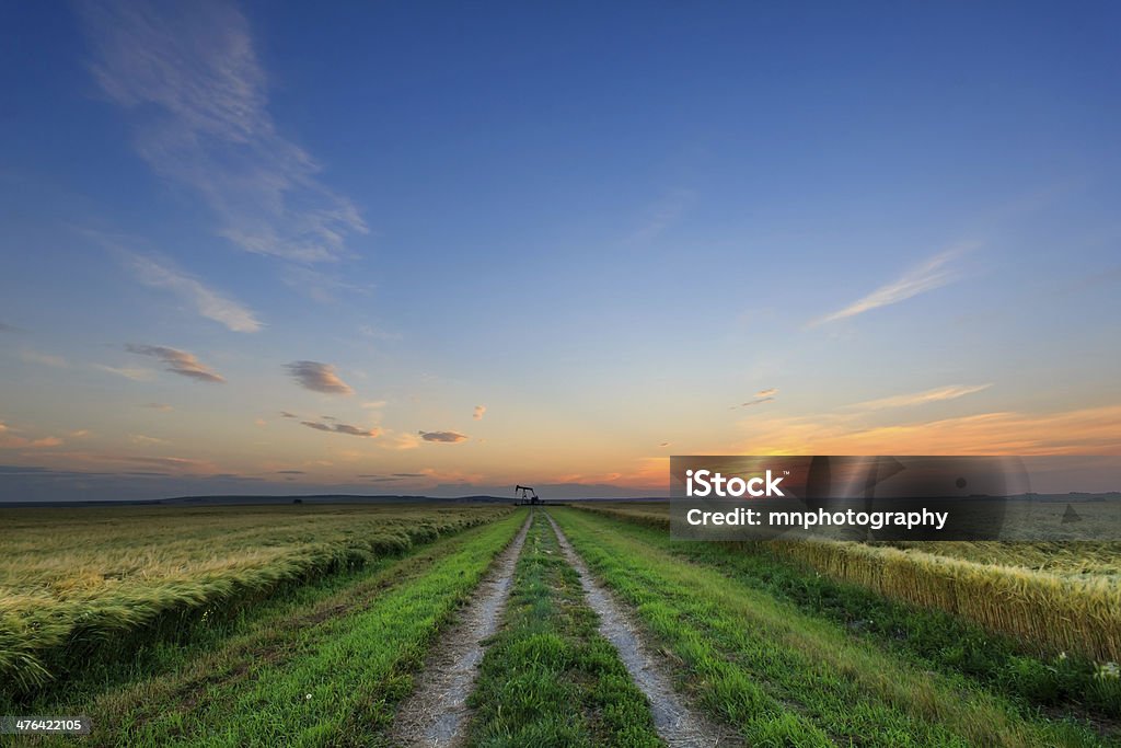 Poço de Petróleo estrada ao pôr-do-sol - Foto de stock de Agricultura royalty-free