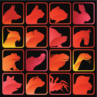 Pets color icon set. High resolution PNG file without dark background is also added.