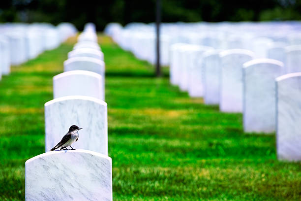 istock Arlington National Cemetery VA near Washington DC 476423326