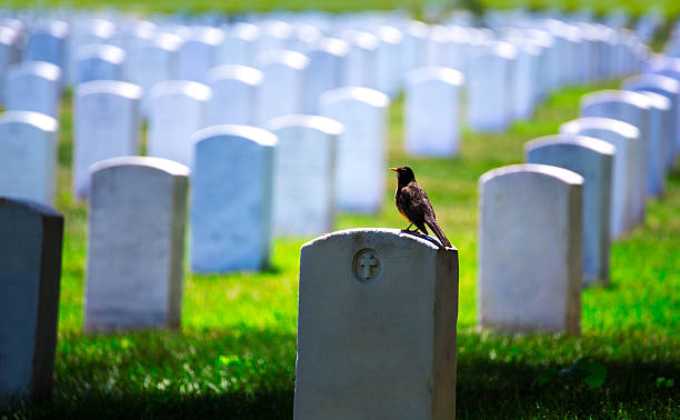 istock Arlington National Cemetery VA near Washington DC 476428136